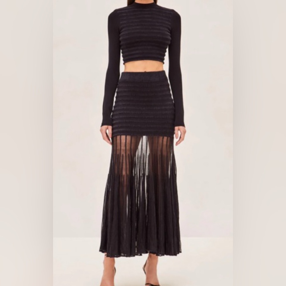 NWT Alexis Franki Skirt and Top size Medium